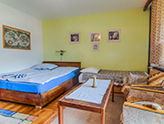 1. patro